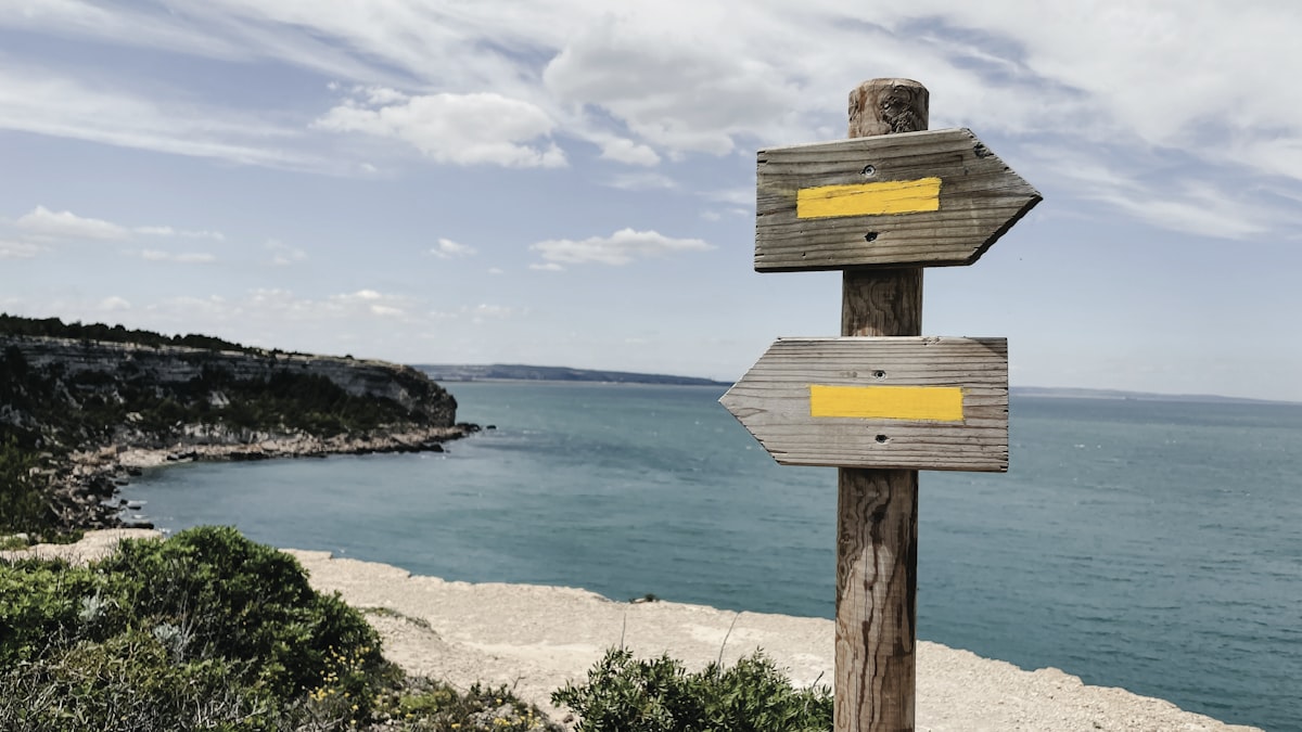 Cursor 2.5時代の「エージェント型エディタ」完全ガイド——Claude Codeとの使い分け戦略